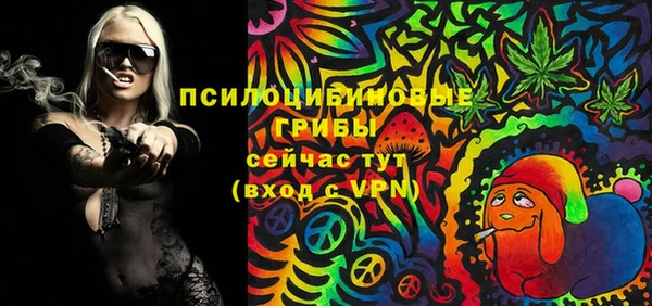 МДПВ Верея